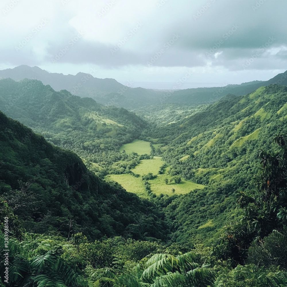 Fototapeta premium Wide angle view of a lush valley