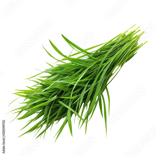 Fresh green grass bundle transparent background png nature studio isolated vibrant color