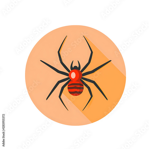 Spider on a white background.