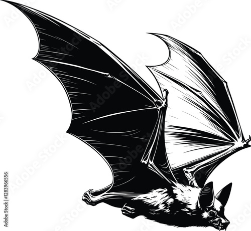 Flying Bat with Curved Wings in Detailed Hand Drawn Vector Illustration