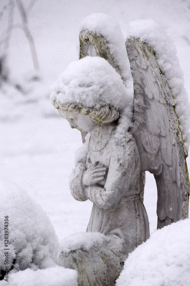 angel in snow angel in snow