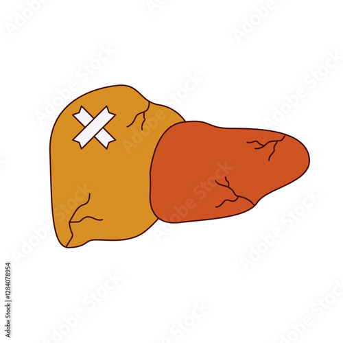 hepatitis disease illustration