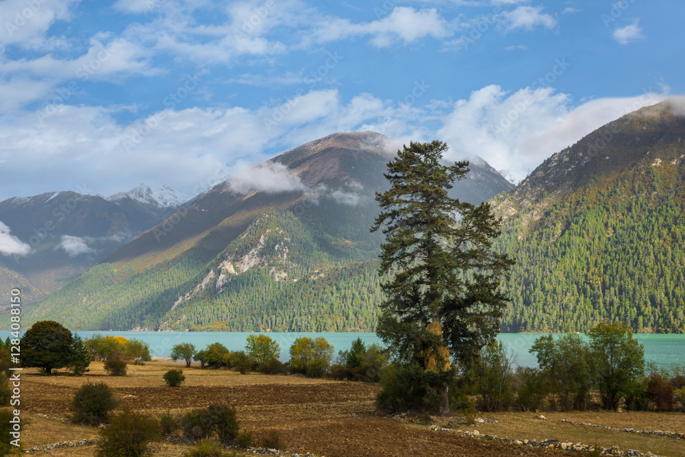 Fototapeta premium landscape with mountains