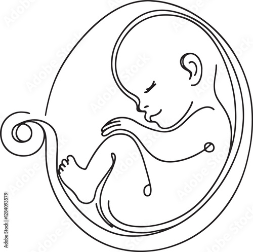 Baby in Womb Line Drawing Minimalist Pregnancy Art