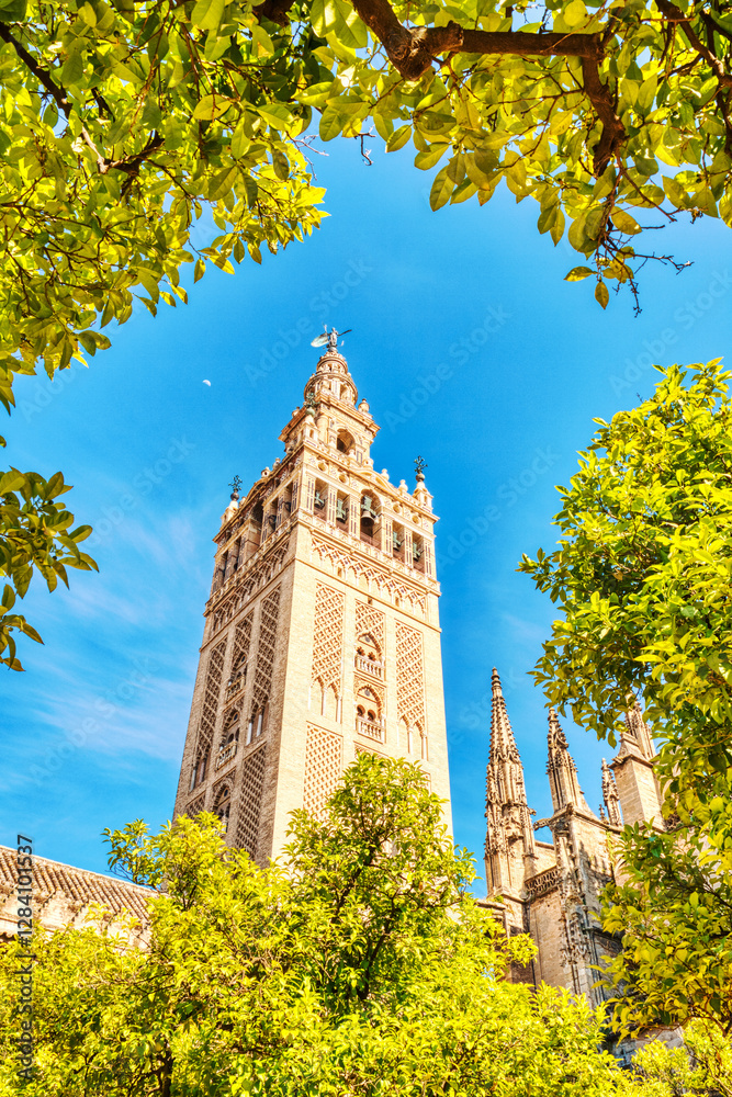 custom made wallpaper toronto digitalSeville Cathedral and Giralda Tower during Beautiful Sunny Day in Seville