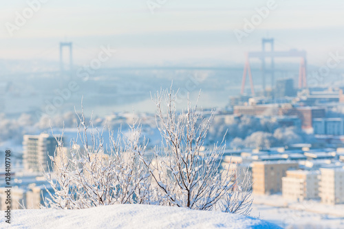 Snow covered trees showcase the beauty of Gothenburg city in winter's embrace while bridges peek through the misty horizon