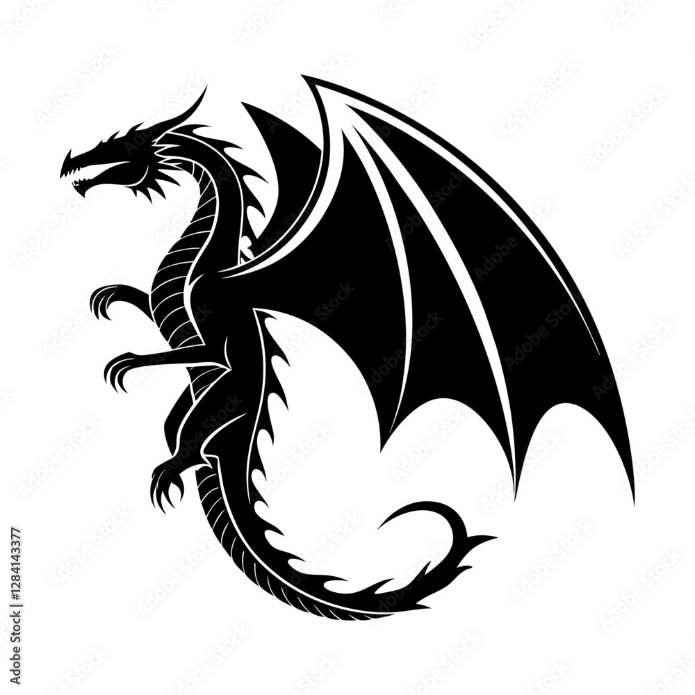 black and white dragon black and white dragon