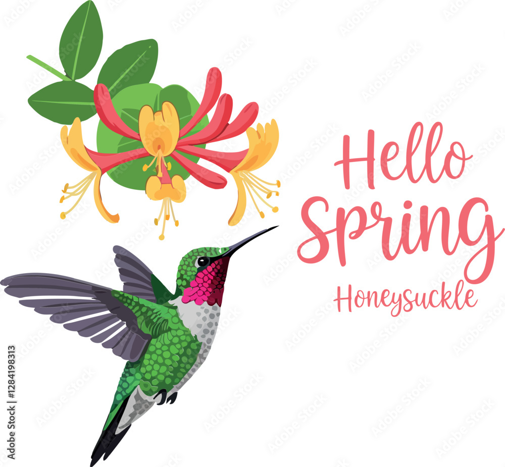 Obraz premium A vibrant hummingbird hovering near bright honeysuckle flowers in a cheerful spring scene, showcasing flat vector art