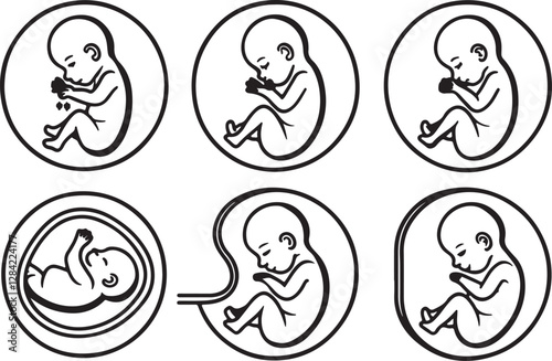 Unborn baby life cycle line art vector icons set, baby into mother outline illustration, flat black line isolated on a white background.
