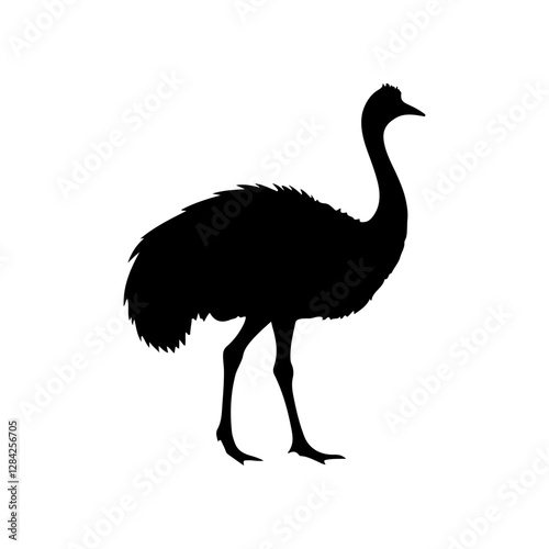 Emu silhouette vector flat illustration design on white background.