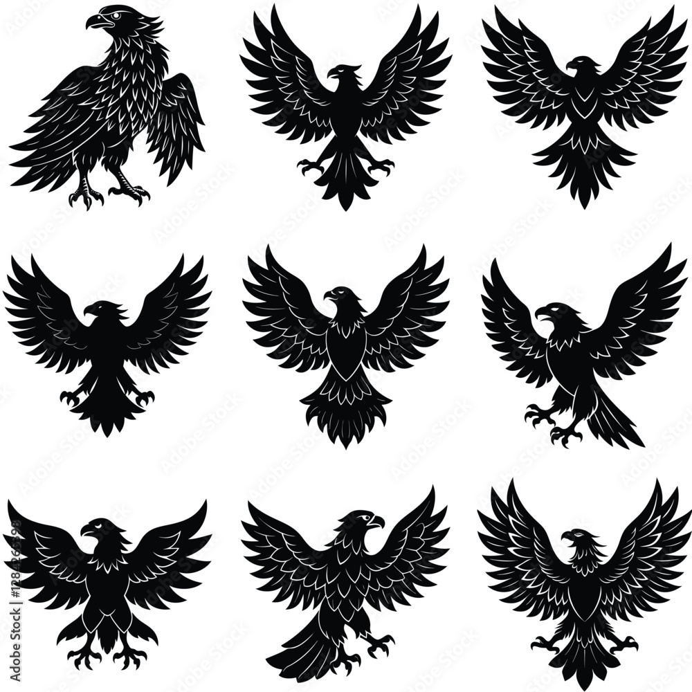 Obraz premium set of black wings