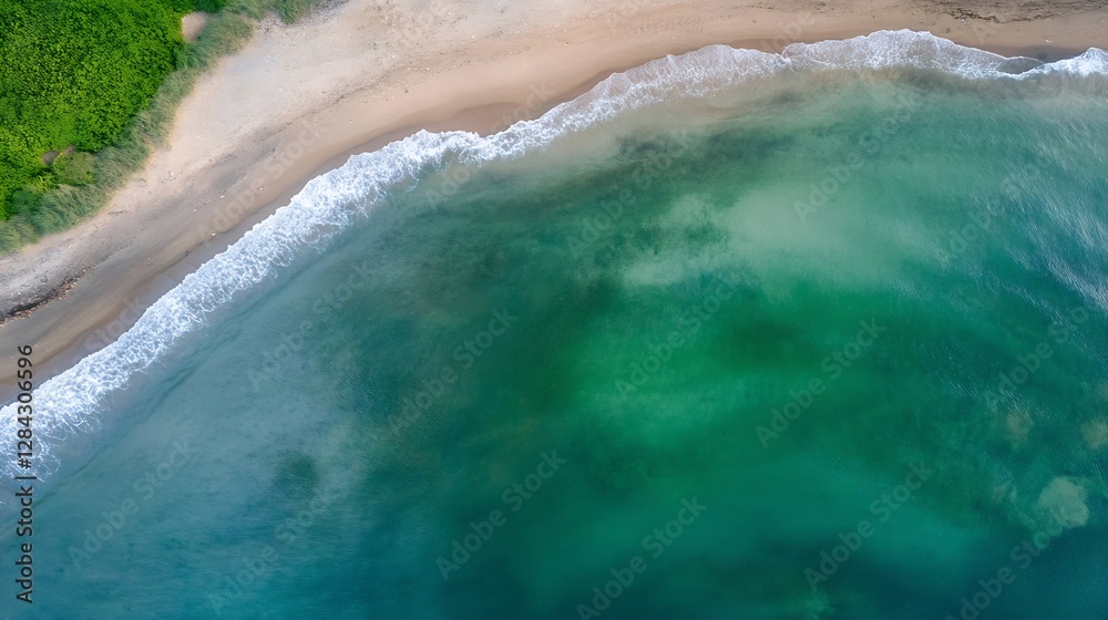 Aerial view of a pristine coastline with turquoise waters meeting sandy shores surrounded by lush greenery on a sunny day : Generative AI