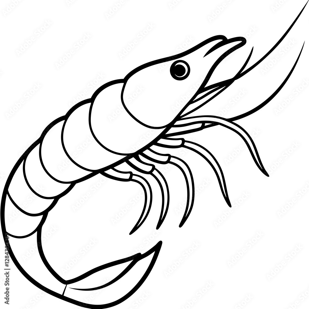 Minimalist Shrimp One-Line Vector Art Minimalist Shrimp One-Line Vector Art