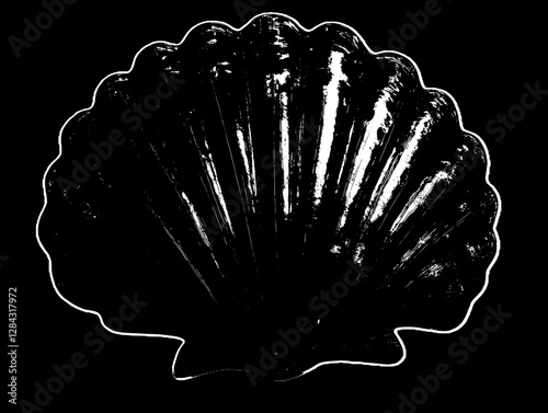 Stunning Black Seashell Art Piece