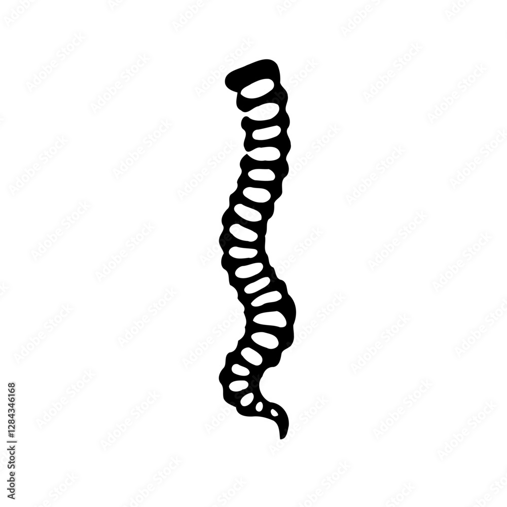 Stylized Spinal Column Silhouette Illustration Stylized Spinal Column Silhouette Illustration