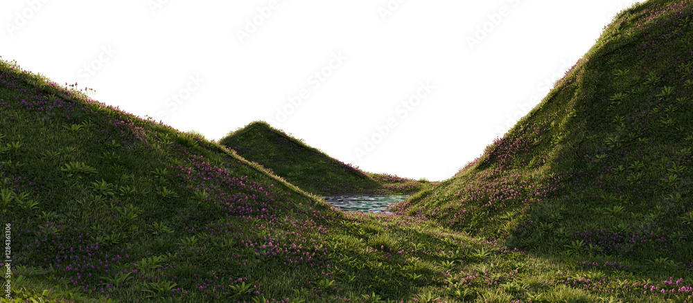Fototapeta premium Serene Valley with Blooming Hills and Reflective Pond. 3D Rendering.