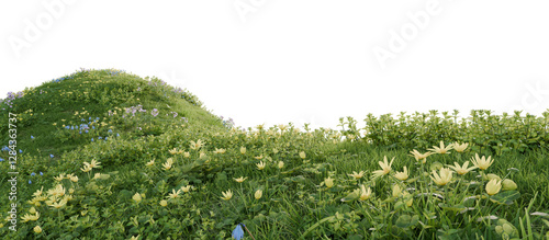 Fototapeta Naklejka Na Ścianę i Meble -  Verdant Hill Blooming with Yellow Flowers in Spring. 3D render.	
