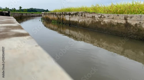 Wallpaper Mural rural landscape with river, And rice fields Torontodigital.ca