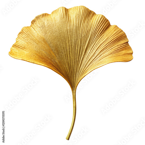 Elegant Ginkgo Leaf on White Background