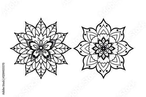 Two flowers are drawn in black and white manadela art . The flowers are very detailed and have a lot of intricate designs. The flowers are arranged in a way that they are almost overlapping each other