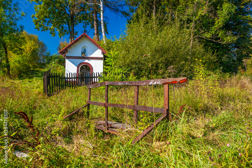 Kapliczka domkowa przy drodze w Tyliczu. photo