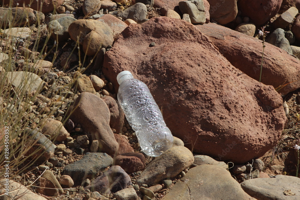 Fototapeta premium Plastic Bottle Lying on Ground