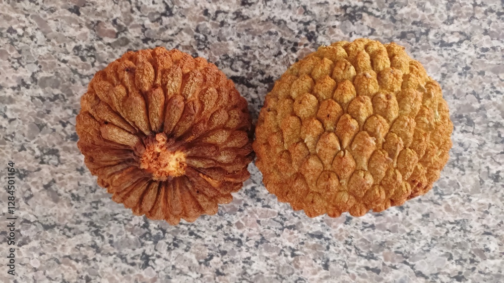 Annona Crassifolia fruit, known as Araticum or Articum and Marolo, from the Brazilian Cerrado Annona Crassifolia fruit, known as Araticum or Articum and Marolo, from the Brazilian Cerrado