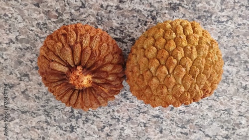 Annona Crassifolia fruit, known as Araticum or Articum and Marolo, from the Brazilian Cerrado photo