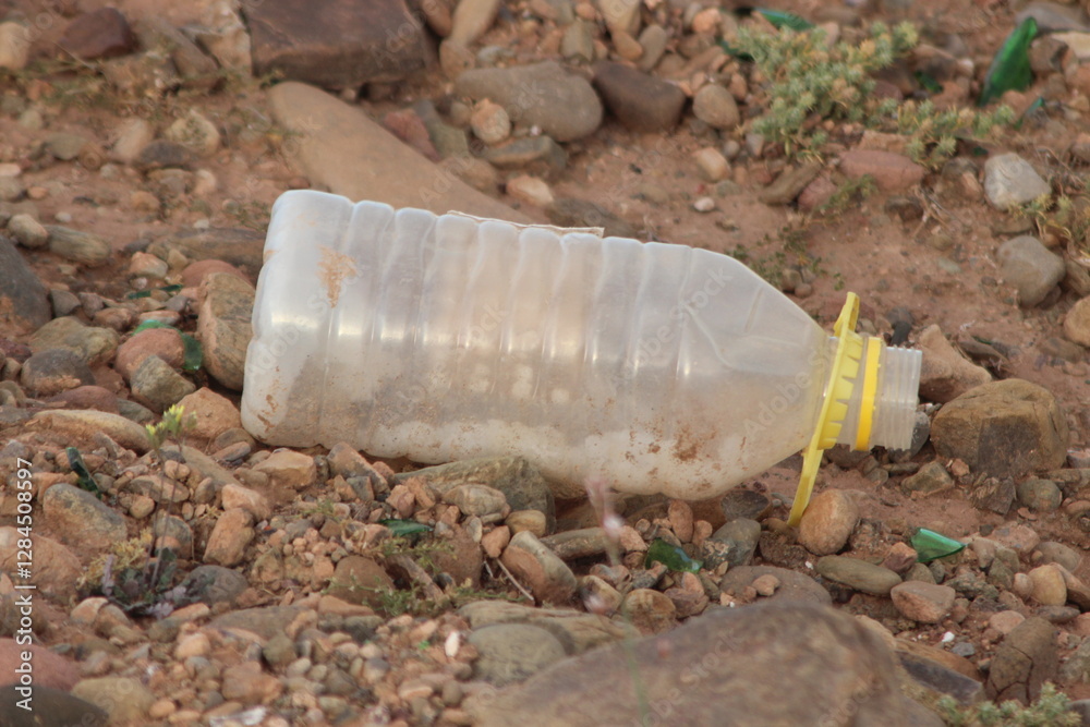 Obraz premium Plastic Bottle Lying on Ground