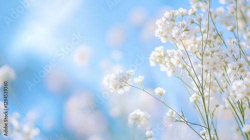 Delicate white flowers gently swaying under a blue sky in a peaceful and tranquil natural environment : Generative AI