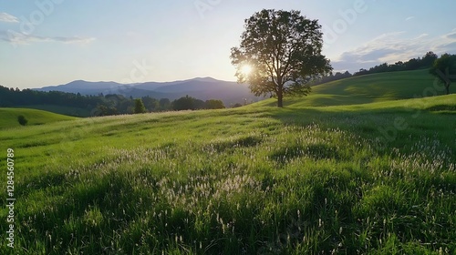 Idyllic countryside landscape with a lone tree at sunset creating a picturesque scene : Generative AI