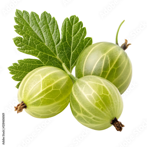 Fotografie gooseberry fruit