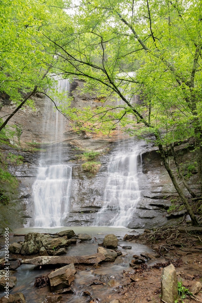 Obraz premium Cascading waterfall flowing through a lush green forest with rocky stream