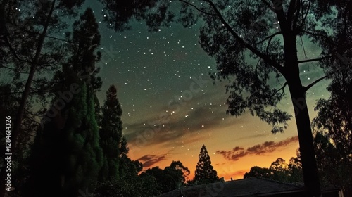 Drifting embers illuminate the night sky with ethereal beauty as darkness envelopes the tranquil landscape