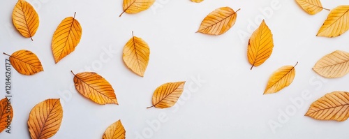 Golden leaves drifting in circles, caught in an autumn breeze