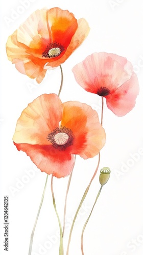 Vibrant poppies bloom in shades of red and orange, showcasing the beauty of nature through watercolor artistry