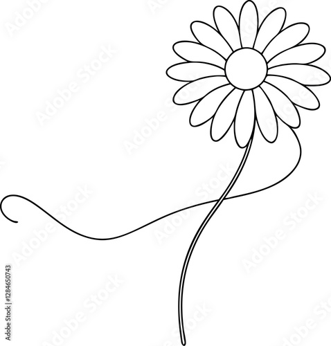 Daisy Flower Line Art Vector Illustration on White