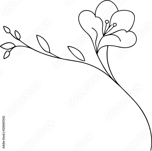 Freesia Line Drawing Vector - Elegant Floral Sketch