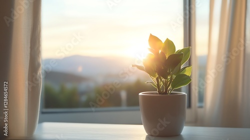 Charming indoor plant soaking up sunlight by the window with a beautiful sunset view : Generative AI
