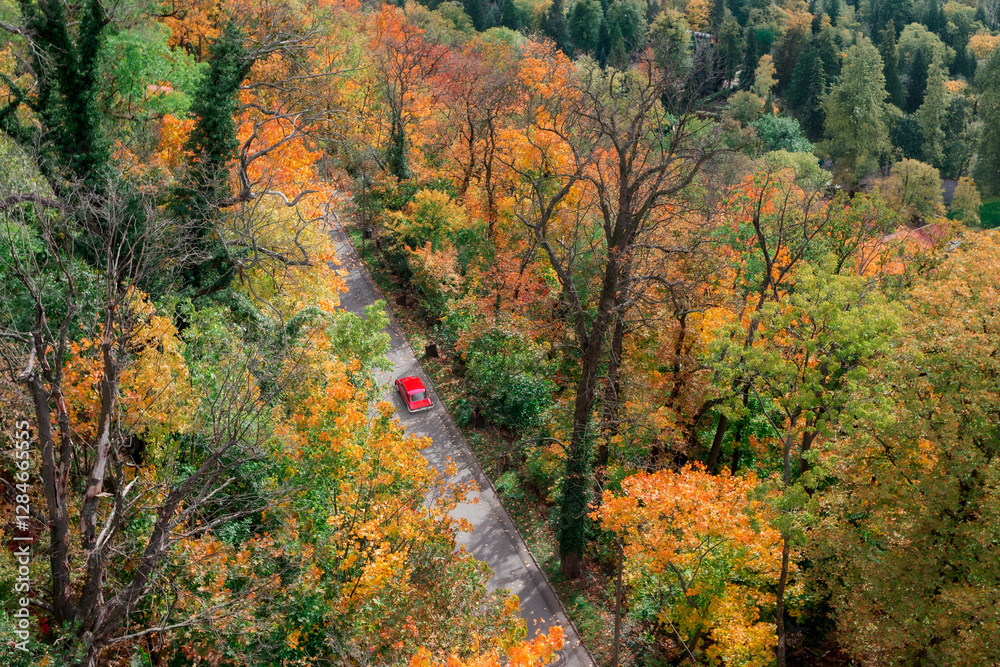 Historic Wernigerode with Autumn Charm, retro red car Historic Wernigerode with Autumn Charm, retro red car