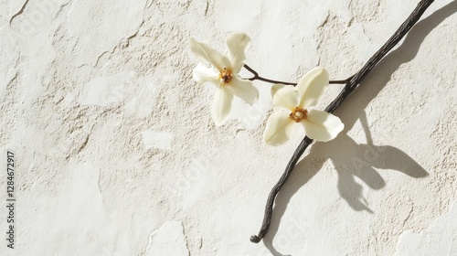 Delicate White Flowers and Dark Vanilla Pods Arranged Elegantly on a Neutral Background Showcasing Natural Beauty and Culinary Potential