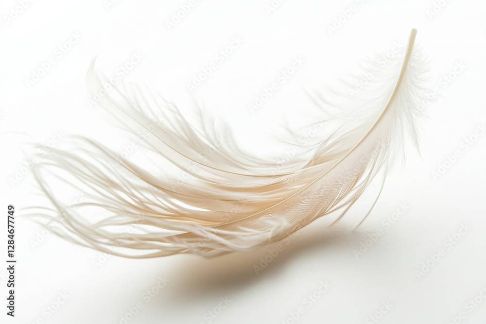 Obraz premium A delicate white feather gently rests on a smooth surface, embodying elegance and tranquility with its soft texture and intricate details, highlighted against a minimalist backdrop.