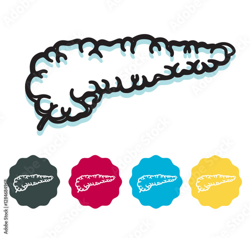 Pancreas - Body Part - Stock Icon