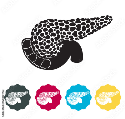 Pancreas - Body Part - Stock Icon