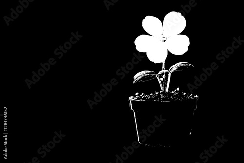 A Simple Black and White Floral Still Life