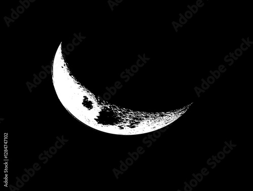 Crescent Moon in the Night Sky