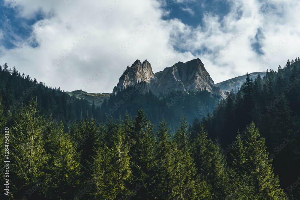 Obraz premium high rocky peaks mountain landscape with clouds and pine trees on different lights and shades carpathians