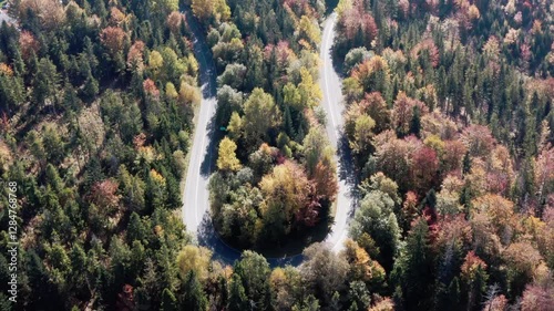 Aerial View of Forest Road in Autumn