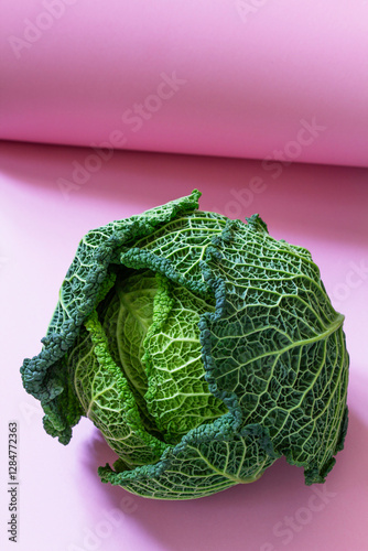 Wallpaper Mural Textured Savoy cabbage on light pink cardboard. Torontodigital.ca