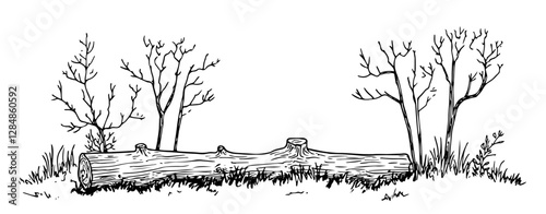 fallen tree log in forest landscape vintage engraving style doodle sketch vector